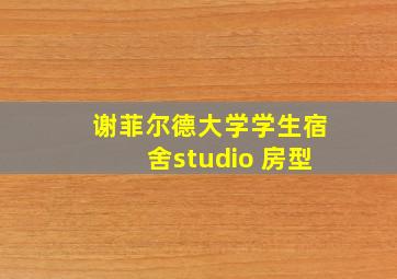 谢菲尔德大学学生宿舍studio 房型